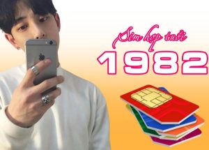 Sim hợp tuổi 1982 - Cách chọn sim để hưởng nhiều may mắn