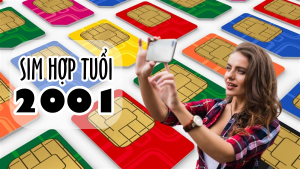 Sim hợp tuổi 2001 và cách chọn sim cho người tuổi Tân Tỵ
