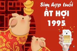 Sim hợp tuổi 1995 và bật mí cách chọn sim cho tuổi Ất Hợi chuẩn nhất