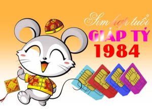 Sim hợp tuổi Giáp Tý 1984 - Cách chọn sim sao cho vượng khí và may mắn 