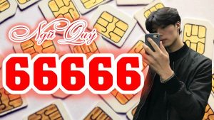 Bật mí về sim ngũ quý 66666 ý nghĩa và lý do nên sở hữu