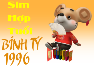 Sim hợp tuổi 1996 tư vấn chọn sim chuẩn cho người tuổi Bính Tý