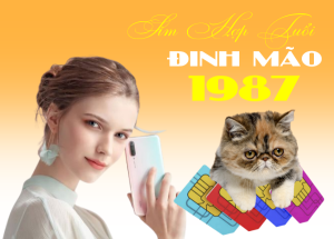 Sim hợp tuổi Đinh Mão 1987 và những điều người dùng nên biết