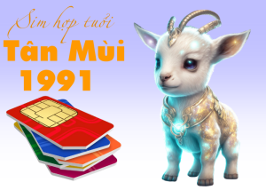 Sim hợp tuổi Tân Mùi 1991 ý nghĩa và cách chọn sim số đẹp
