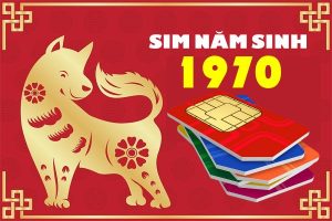 Sim năm sinh 1970 Canh Tuất siêu hấp dẫn cho người dùng