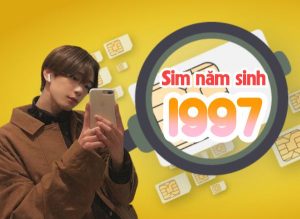 Sim năm sinh 1997 Đinh Sửu lý giải ý nghĩa và cách chọn