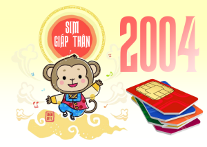 Sim năm sinh 2004 cho người tuổi Giáp Thân
