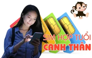 Hướng dẫn chọn sim số đẹp hợp tuổi Canh Thân 1980