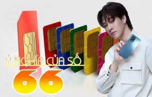 Ý nghĩa của số 66 trong sim số đẹp là gì? Tài lộc hay là điều không tốt