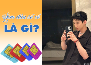 Bật mí về sim đầu số cổ và giải đáp cho những ai quan tâm