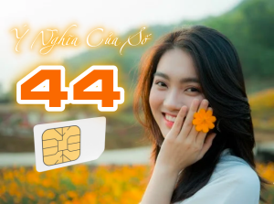 Sim đuôi 44 và những điều người dùng nên biết khi lựa chọn