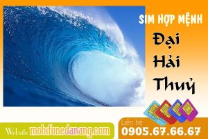 chon sim hop menh dai hai thuy nhu the nao