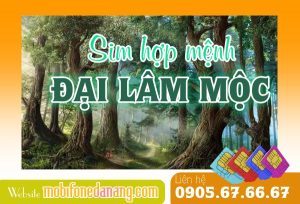 Hướng dẫn chọn sim hợp mệnh Đại Lâm Mộc