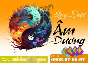 Quy luật Âm Dương của các tuổi khi chọn sim phong thuỷ