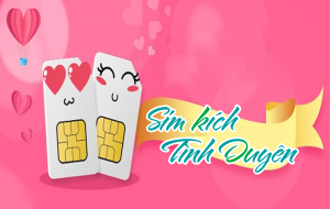 Sim kích gia đạo tình duyên là gì? Thông tin cần biết
